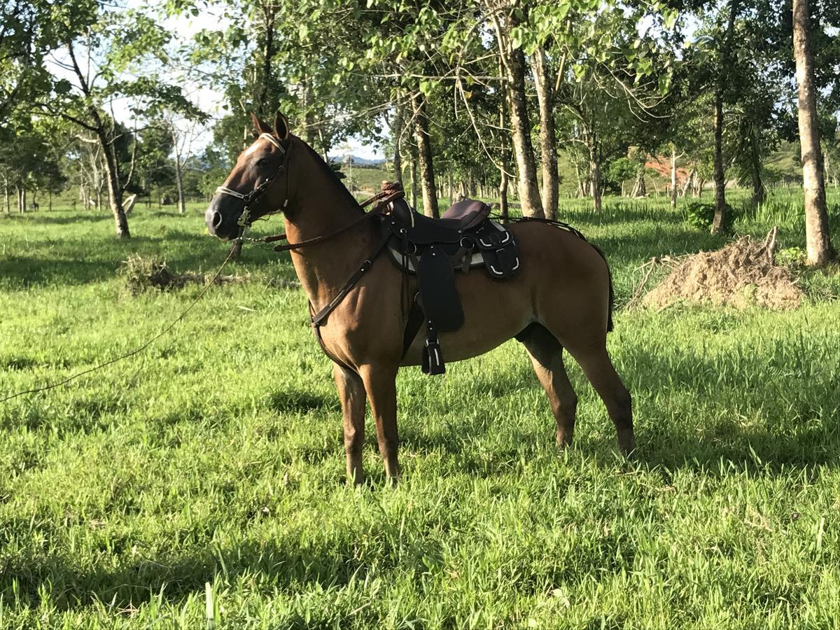 Tenamit Maya El Higuerito Exteriör bild